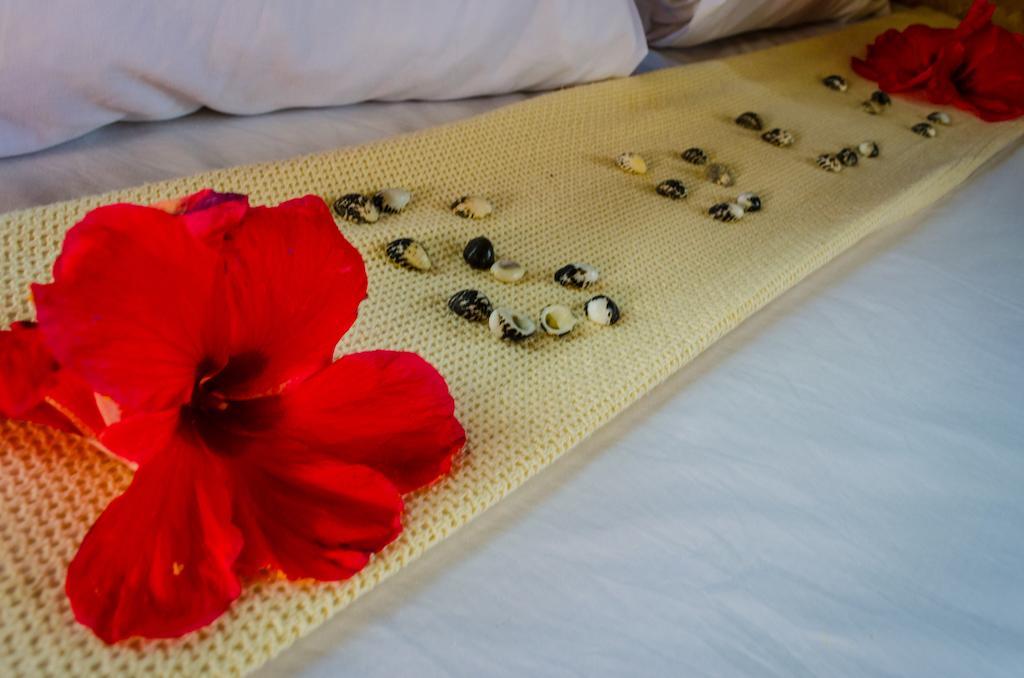 Coralview Island Resort Tavewa Island Εξωτερικό φωτογραφία